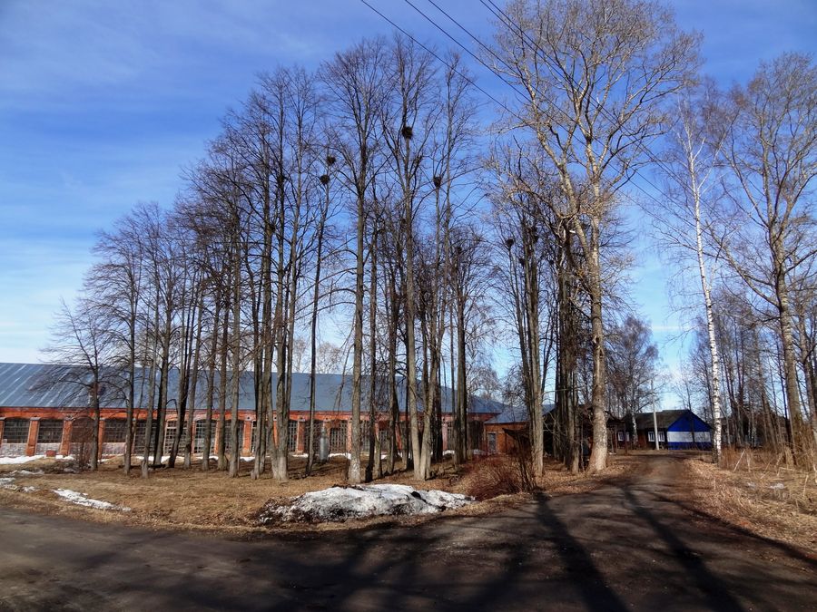 Фабрику в деревне Погорелка (сейчас село Красный Октябрь)